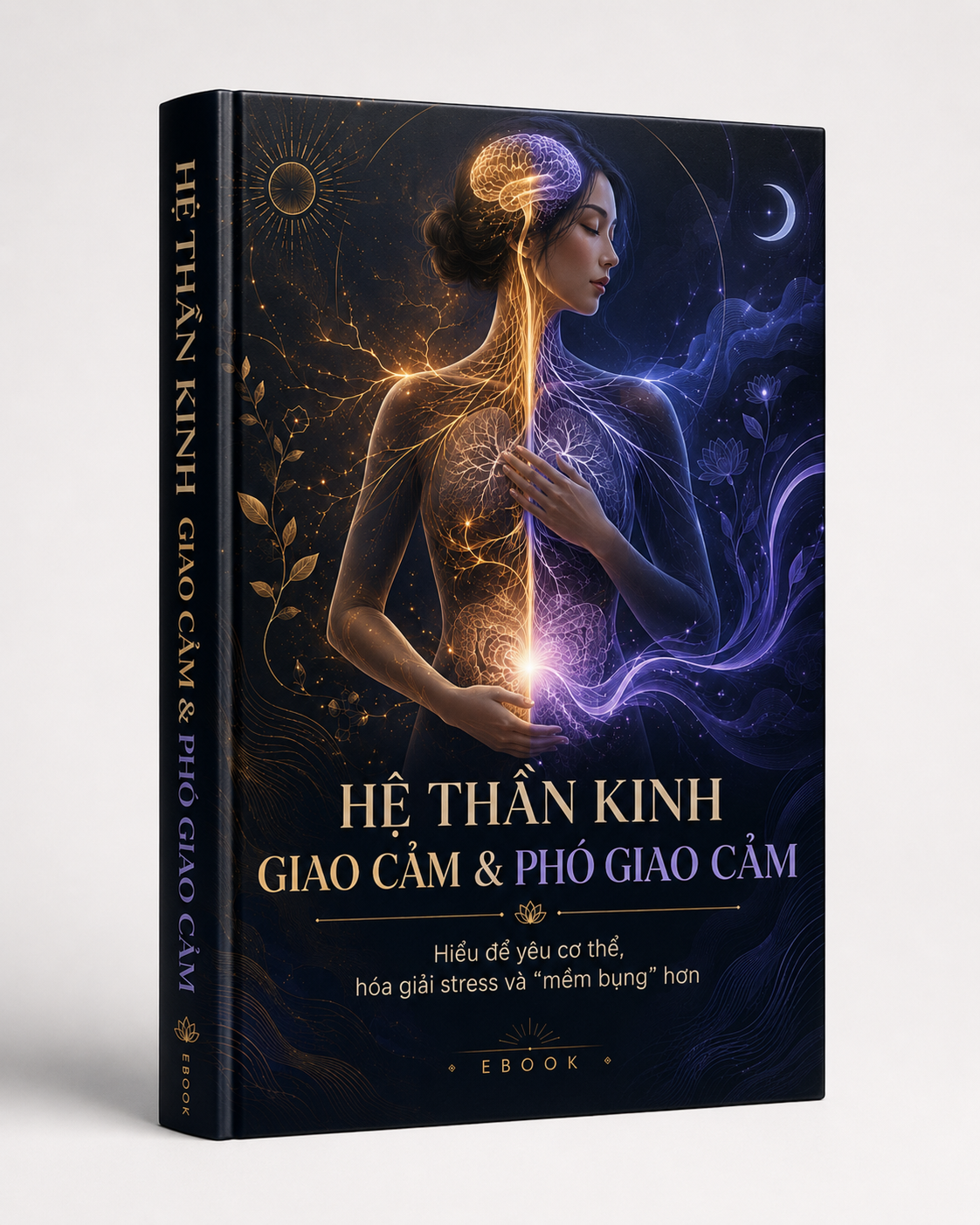 Hệ thần kinh giao cảm và phó giao cảm
