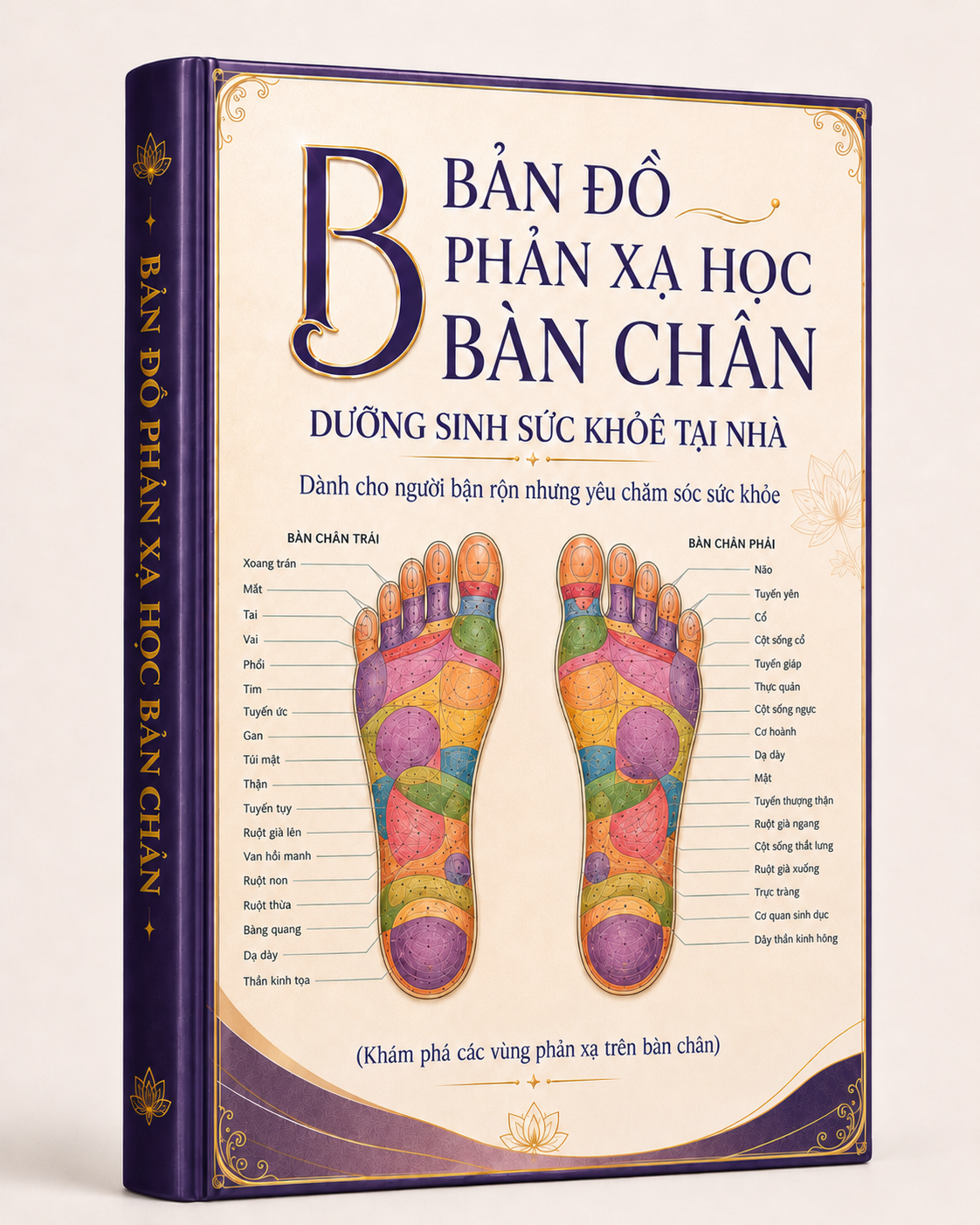Bản đồ Phản Xạ Học Bàn Chân