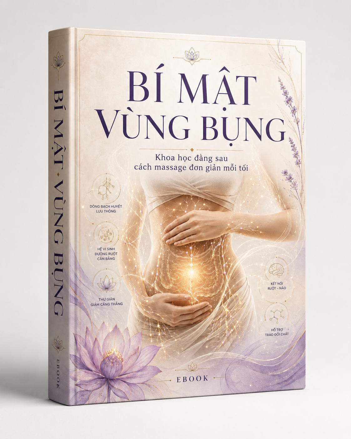 Bí mật vùng Bụng